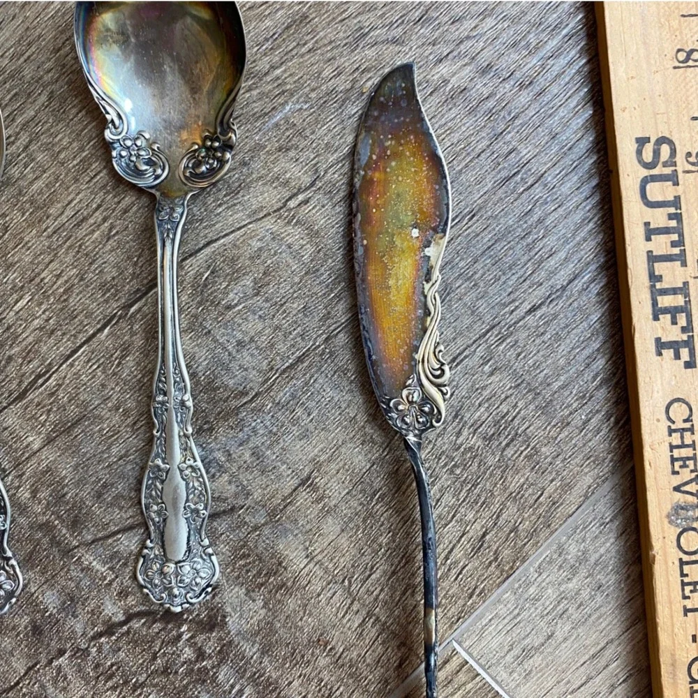 Wm Rogers & Son Orange Blossom Silverplate Flatware Set 25pc Antique 1910 Floral
